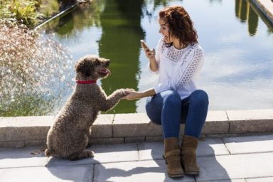 woman taking selfie with dog dog-friendly instagram spots