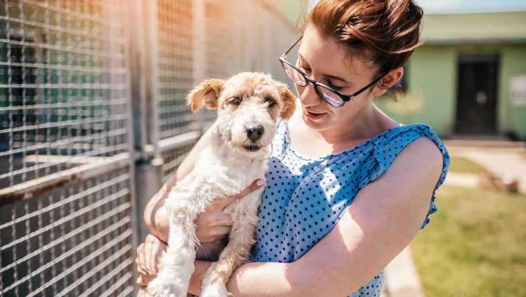 animal advocate holding a rescued dog