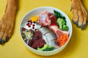 A dog's paws straddle a bowl of prepared raw food.