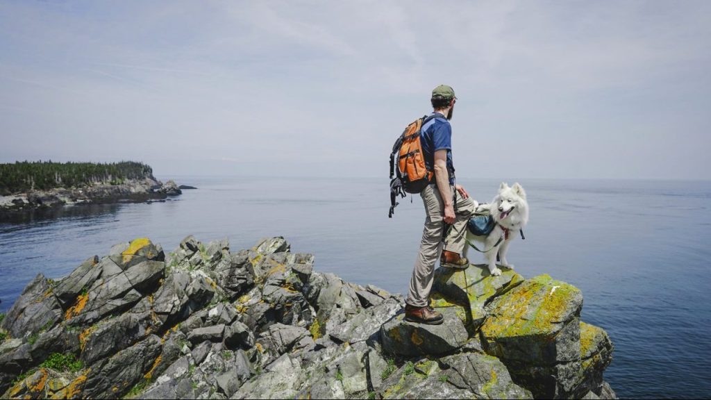 Trail Etiquette When Hiking with Dogs