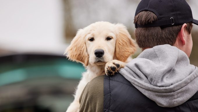 man steals emotional support dog