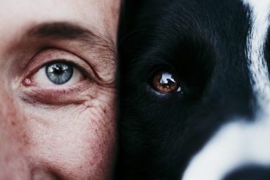 Close up of half a human's face on the left side of the image touching half a black and white dog's face on the right side of the image, focusing in on the eyes.