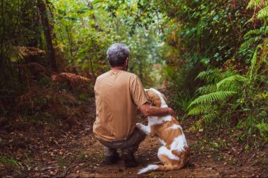 penn state professor accused of animal cruelty of dog in woods