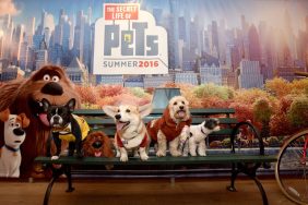 Secret Life Of Pets movie premiere