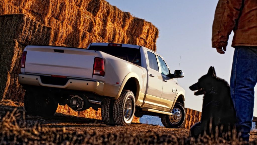 man standing with dog beside pickup truck driver wanted for dog dragging