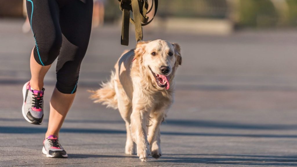 woman running with dog on leash