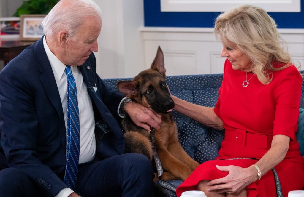 President Joe Biden's dog with first lady