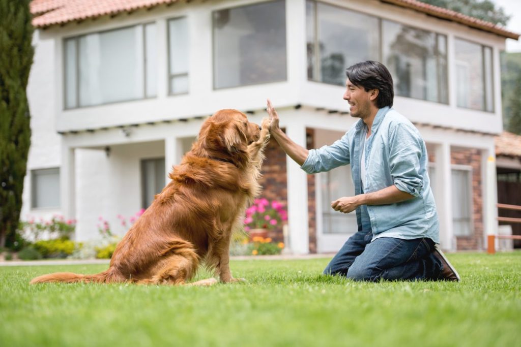 man training dog without food rewards