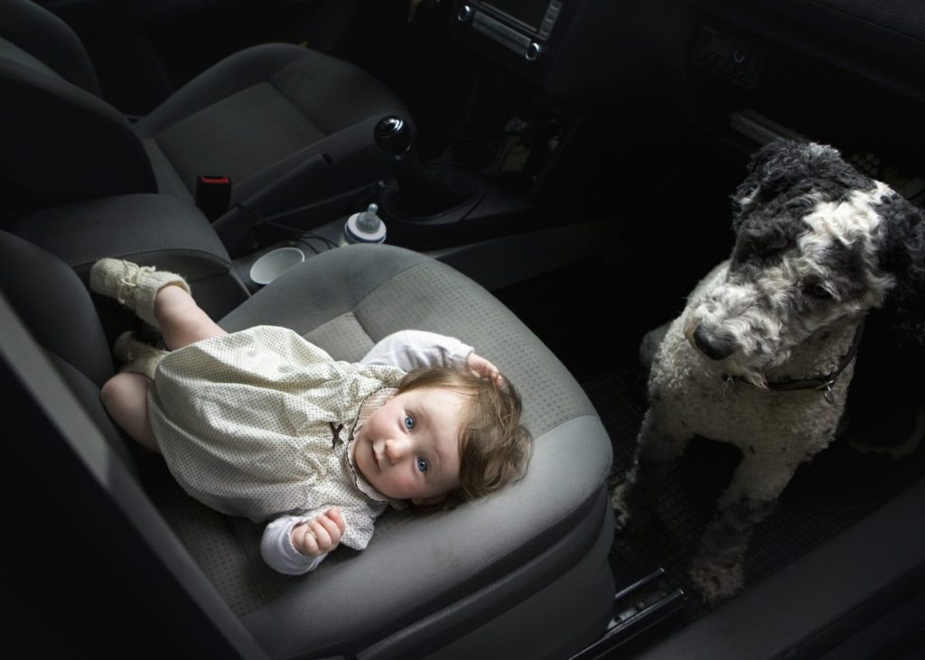 infant and dog in hot car