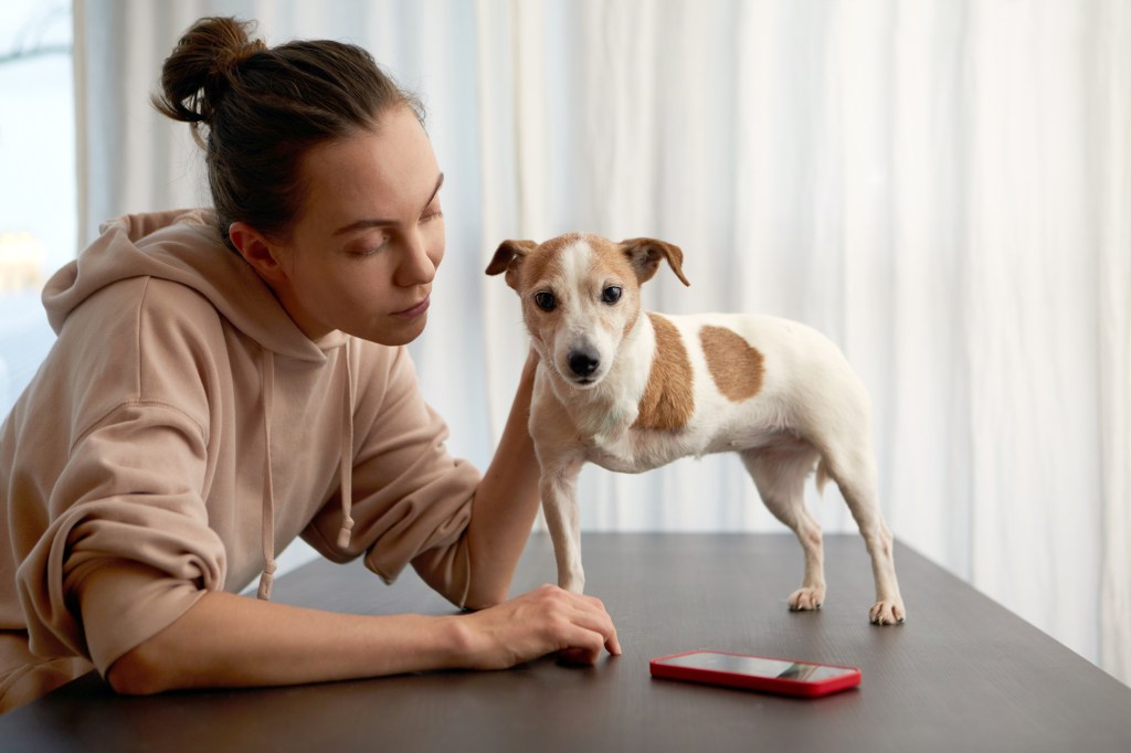 Pet owner with a three-legged or tripod adopted dog.