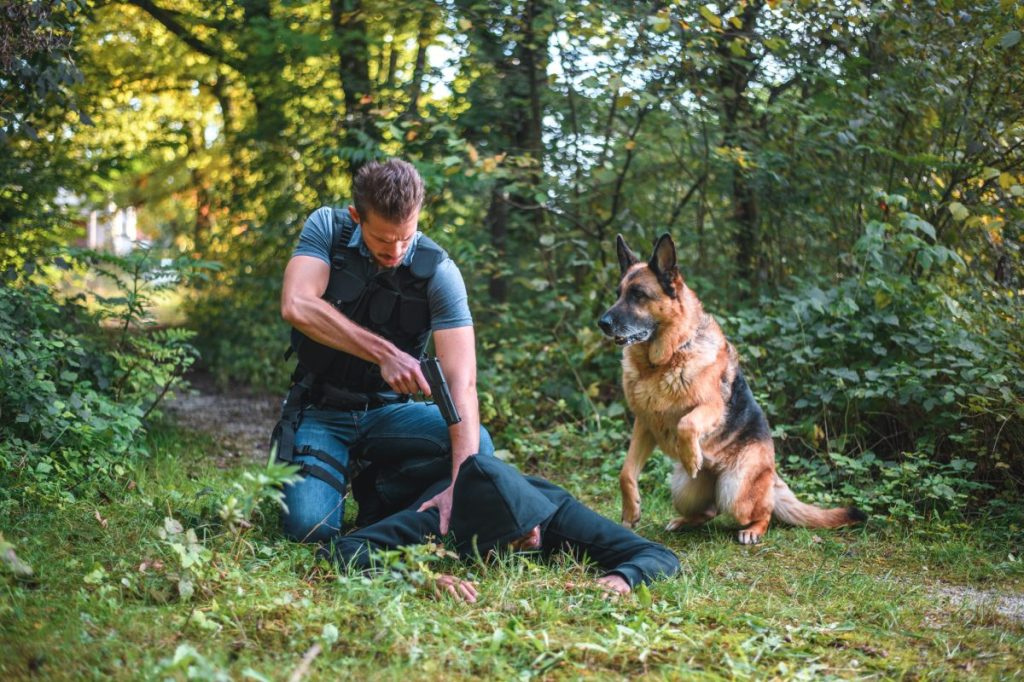 police dog sitting by while officer apprehends criminal