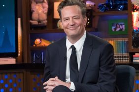 portrait of actor Matthew Perry in suit