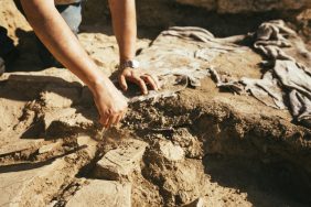 An archaeologist like the ones who discovered the remains of a dog dating back to Roman Britain.