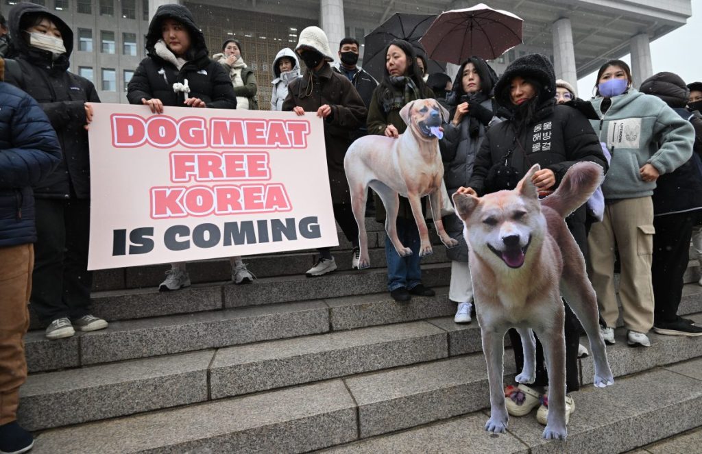 Animal rights activists hold placards during a rally welcoming a bill banning South Korean dog meat trade at the National Assembly in Seoul on January 9, 2024. South Korea's parliament on January 9, passed a bill banning breeding, slaughtering and selling dogs for their meat, a traditional practice that activists have long called an embarrassment for the country. (Photo by JUNG YEON-JE / AFP) (Photo by JUNG YEON-JE/AFP via Getty Images)