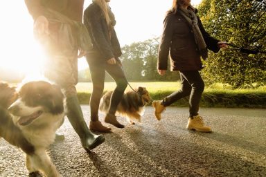 A group of three people each walking a dog, like those in the dog walking class at ECU.