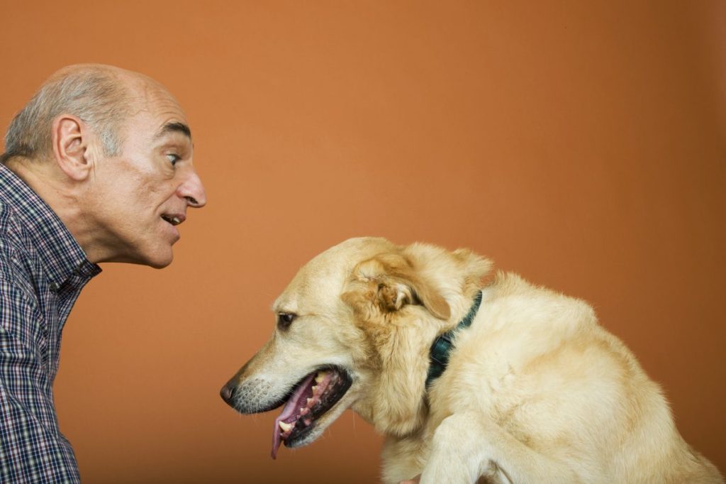 Dog facing down with tongue out as owner shouts at them, most pandemic puppy owners are currently using punishment to discipline their dogs