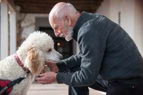 Senior men with his best friend, a Standard Poodle service dog, potentially used as a psychiatric service dog or PSD. USA, Albuquerque