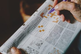 chewy meaty dog treat crossword