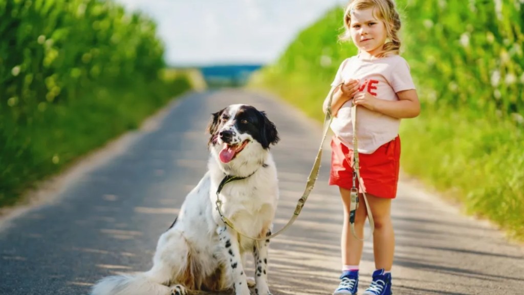 Young child going for a walk with family dog in nature.