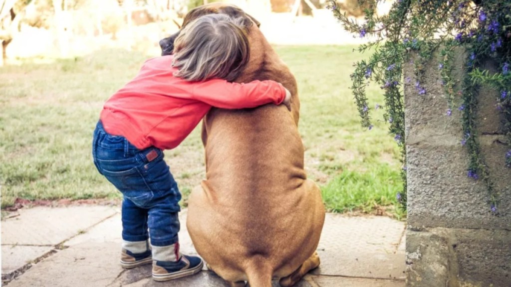 A dog and a child hugging like the video shared by WeRateDogs showing a child and dog in Gaza.