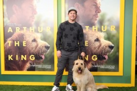 Mark Wahlberg with dog at film screening.