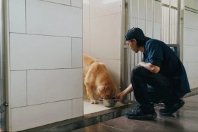 A dog being fed in a boarding kennel, new Pennsylvania laws are putting financial strain on dog kennels.