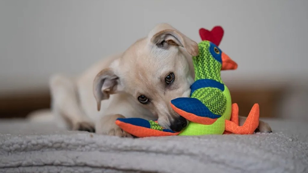 silent squeaker dog toy