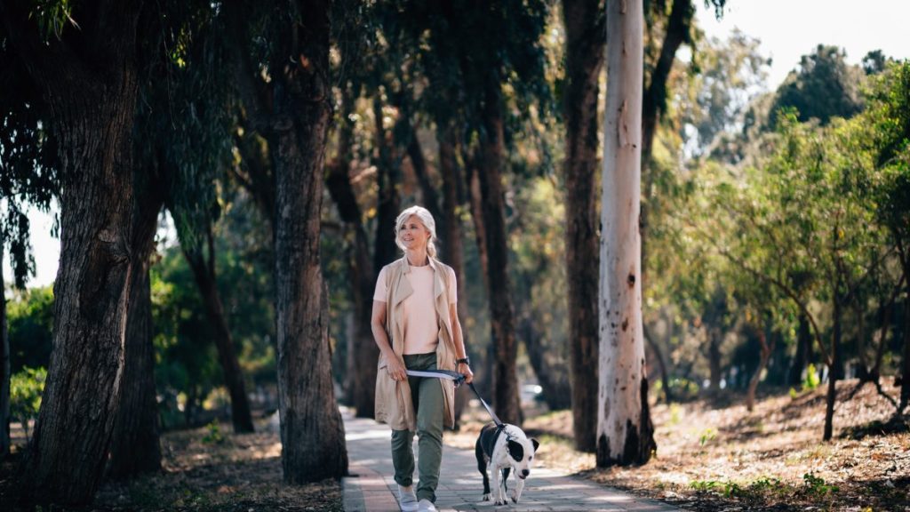 A woman walking her leashed dog along a footpath in a park, Dartmoor dog walkers are required to keep their dogs on short leads while walking them in the park until July 31