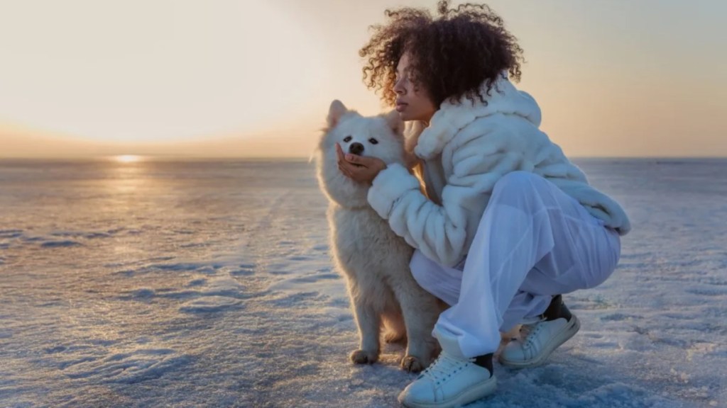 A dog with a woman on ice, like the Michigan incident in which a woman and her dog were rescued after falling into the water.