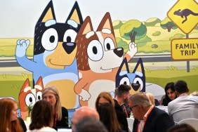 Bluey characters, the show's future is uncertain after season 3.