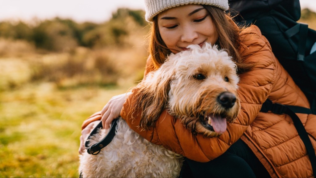 Young Asian woman hugging her dog while hiking in autumn nature. Emotional support and mental wellbeing.