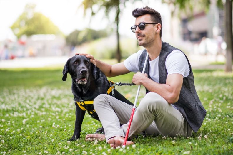 Young blind man with white cane and guide dog sitting in park in city, resting.