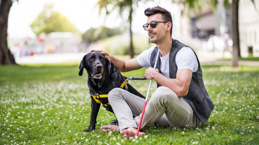 Young blind man with white cane and guide dog sitting in park in city, resting.