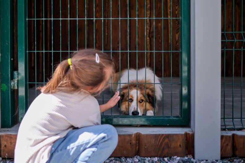 A girl and her chosen dog at a dog shelter