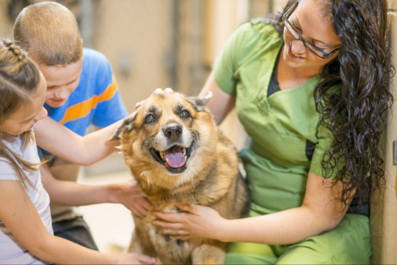 A brother and sister are adopting a dog from the animal shelter.