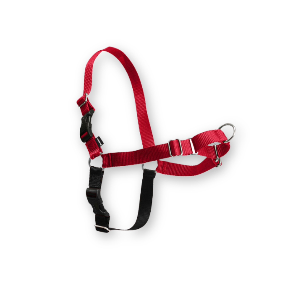 PetSafe Easy Walk Dog Harness