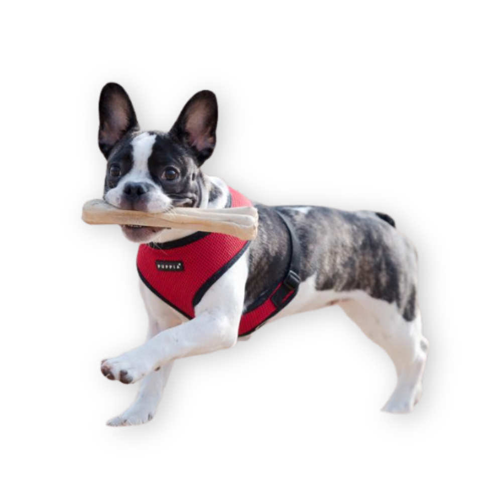 Puppia Soft Dog Harness