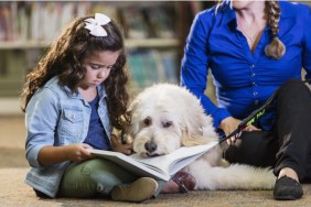 A little 6 year old Hispanic girl reading in the library to a therapy dog. The goldendoodle is listening patiently. The trainer, a mature woman in her 50s, is sitting on the floor holding the dog's leash.