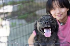 Young woman sits in outdoor playpen with the shelter dog she recently adopted to make him more comfortable.