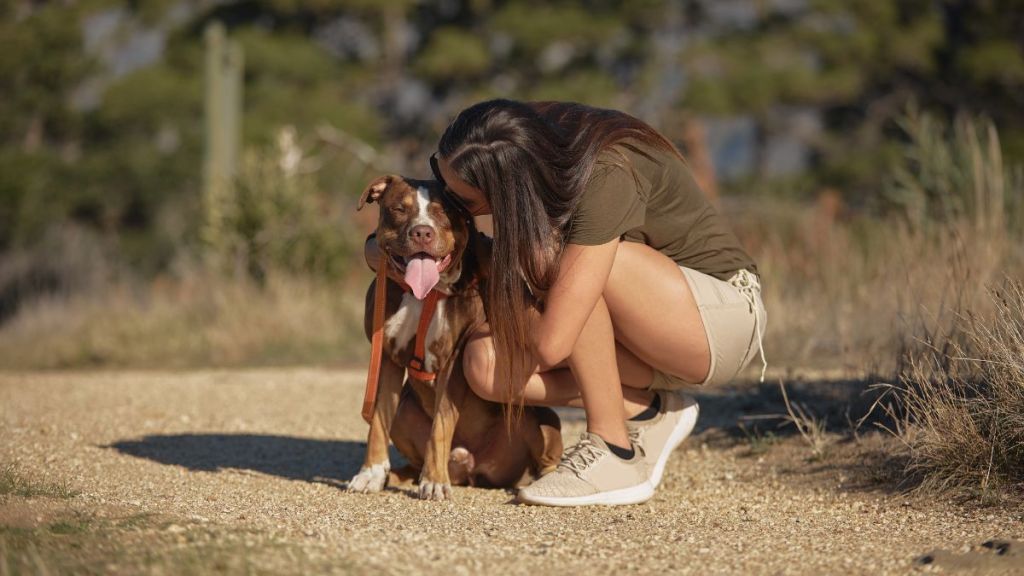 A woman kissing and holding her pet pit bull while having fun outdoors. Young woman expressing love and affection for her emotional support animal.