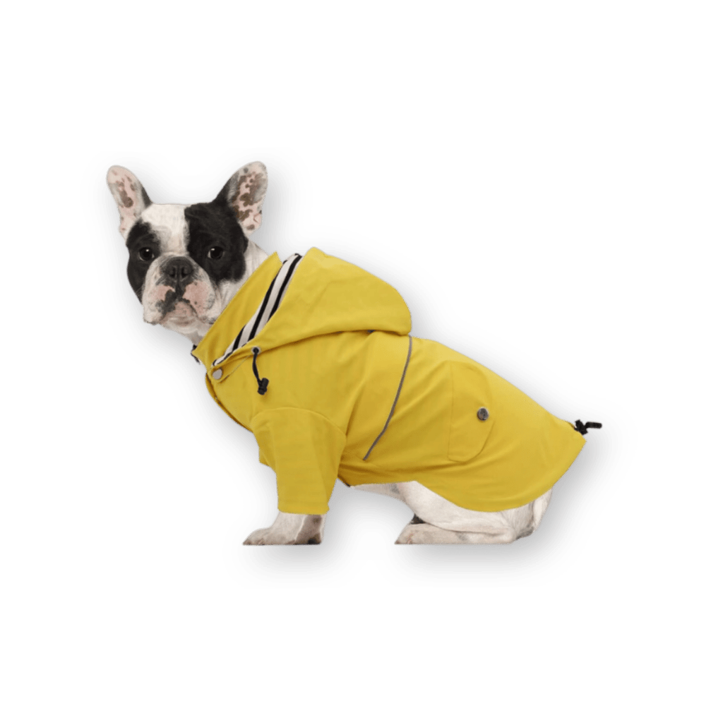 Morezi Dog Raincoat