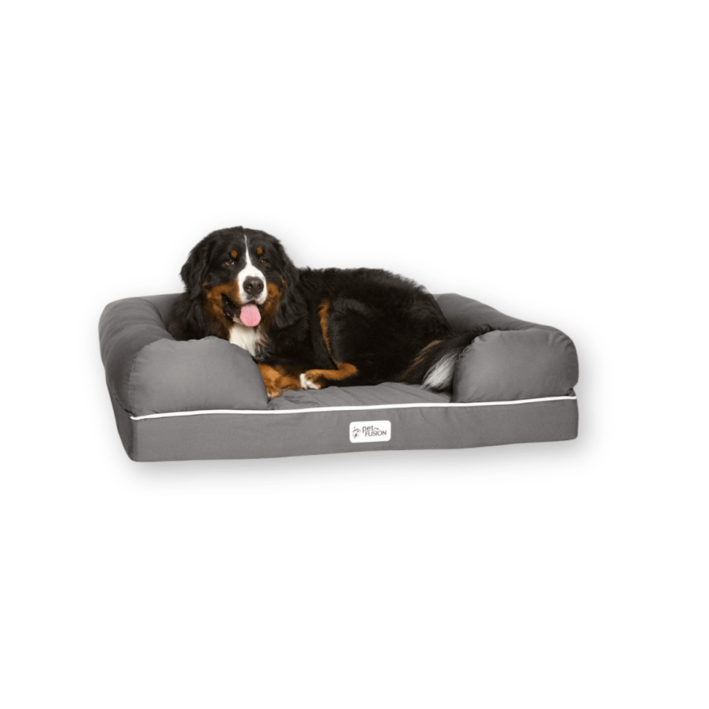 Petfusion dog bed