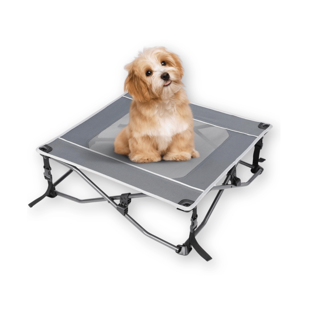 Outdoor bed for dogs