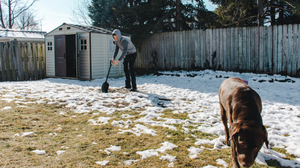 man scooping dog poop using scooper