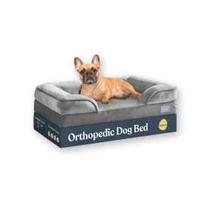 best dog bed by Pitpet