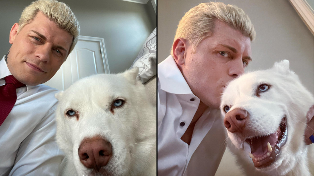 WWE's Cody Rhodes and his pet dog, a Husky named Pharaoh.