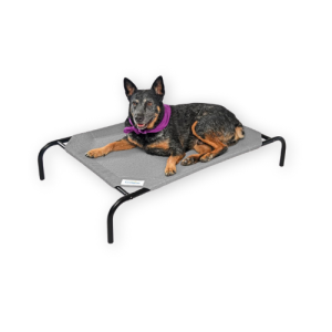 Best Dog Cooling Bed by Coolaroo