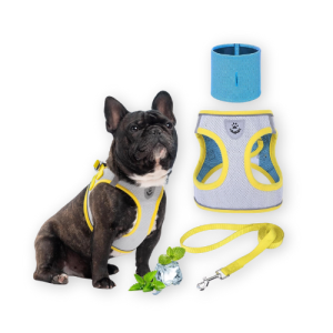 Best Dog Cooling Vest by EXPAWLORER