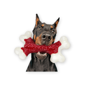 Best Indestructible Dog Toys by Kseroo