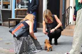 Jennifer Aniston tomando una foto de un perrito en Nueva York.
